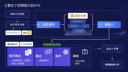 梧桐范式 金柚网服务型hr saas ai新产品,直击闭环效率与效果