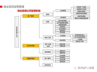 商管公司:完整组织架构,前期工作流程表,总经理工作手册(分享版)